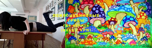 ГАЛЛЮЦИНОГЕННЫЕ ГРИБЫ Михайлов