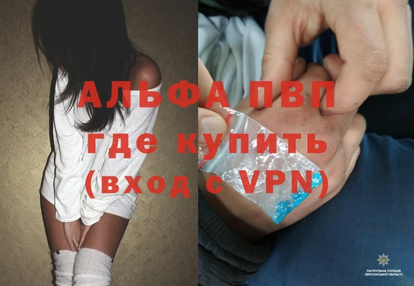 стаф Михайловск