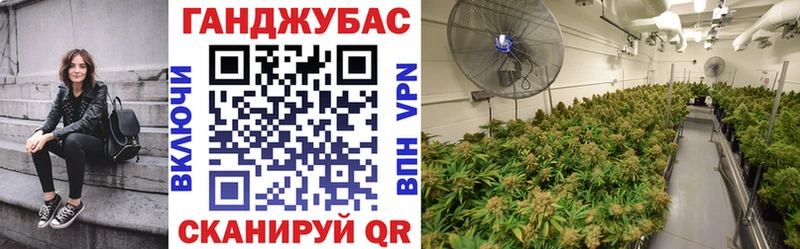 ОМГ ОМГ как зайти  Камышин  Канабис план 
